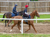 BP011124-32 - Ben Pauling Stable Visit